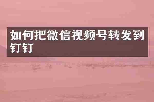 如何把微信视频号转发到钉钉