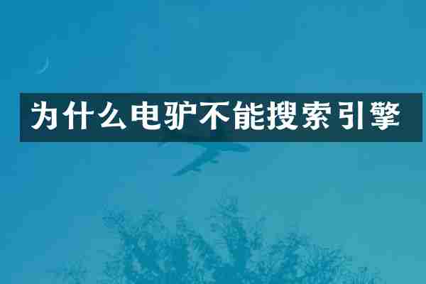为什么电驴不能搜索引擎
