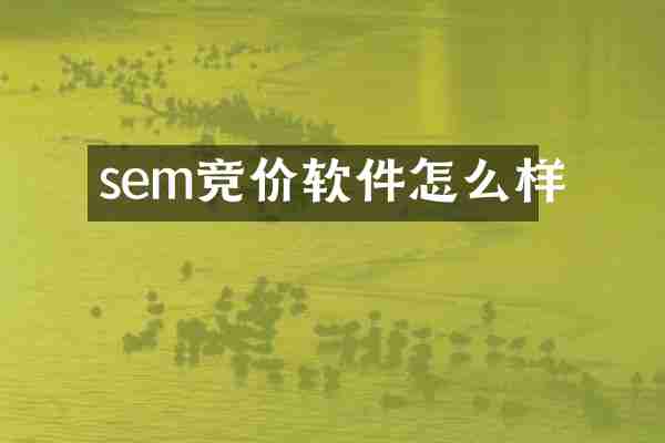 sem竞价软件怎么样