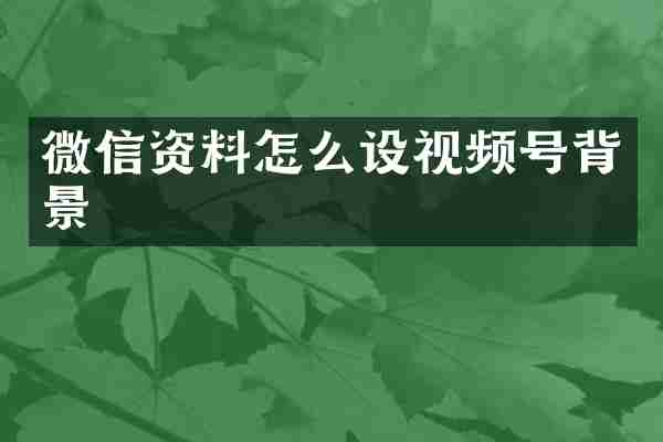 微信资料怎么设视频号背景