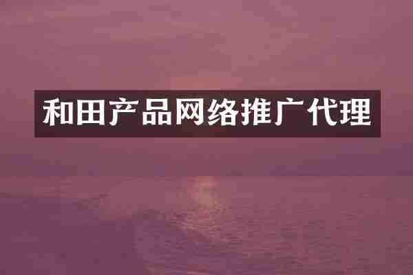 和田产品网络推广代理