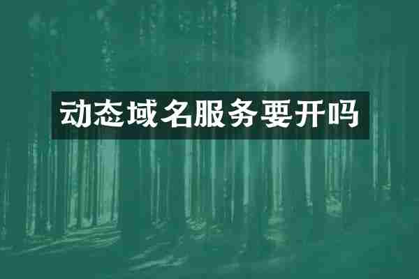 动态域名服务要开吗