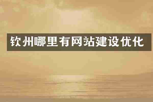 钦州哪里有网站建设优化