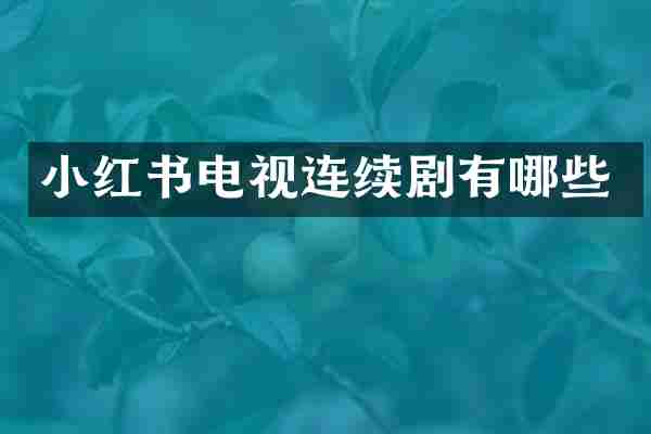 小红书电视连续剧有哪些