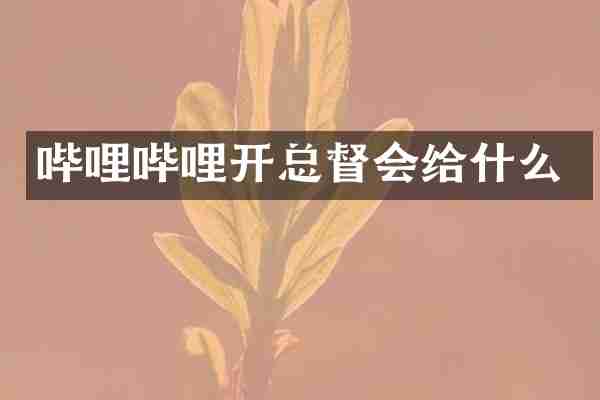 哔哩哔哩开总督会给什么