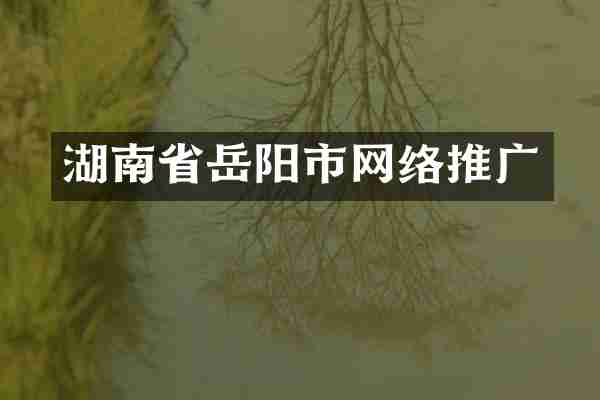 湖南省岳阳市网络推广