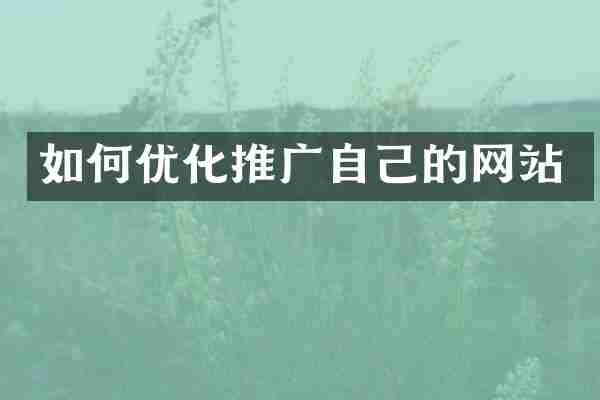 如何优化推广自己的网站