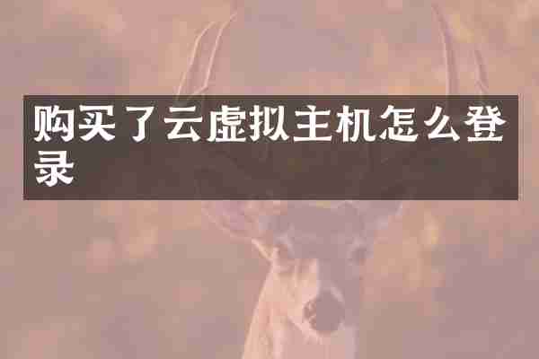 购买了云虚拟主机怎么登录