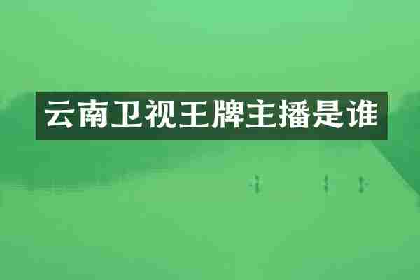 云南卫视王牌主播是谁