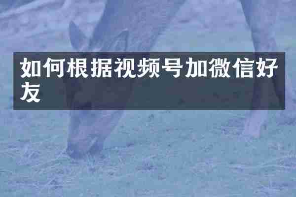 如何根据视频号加微信好友