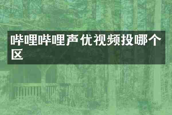 哔哩哔哩声优视频投哪个区
