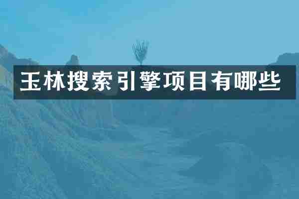 玉林搜索引擎项目有哪些