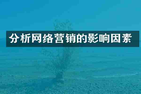 分析网络营销的影响因素
