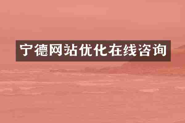 宁德网站优化在线咨询