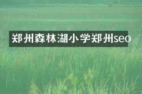 郑州森林湖小学郑州seo