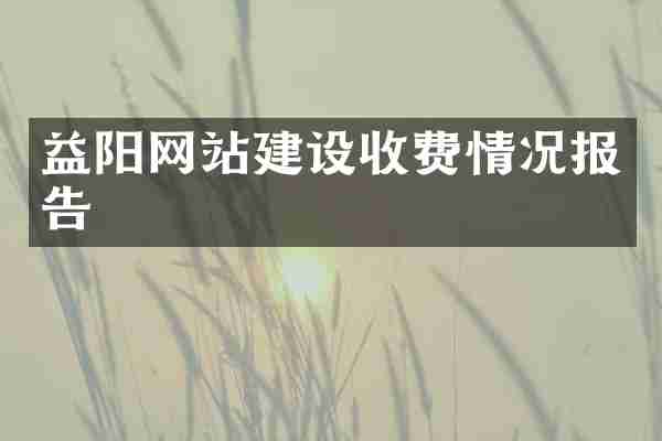 益阳网站建设收费情况报告