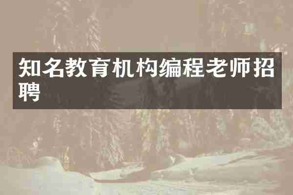 知名教育机构编程老师招聘
