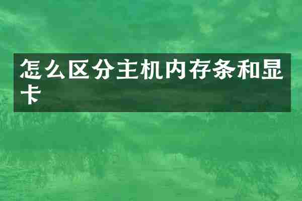 怎么区分主机内存条和显卡