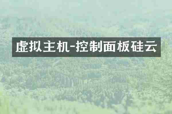虚拟主机-控制面板硅云