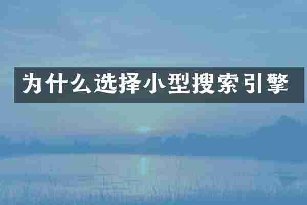 为什么选择小型搜索引擎