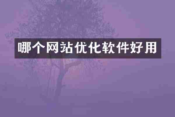 哪个网站优化软件好用