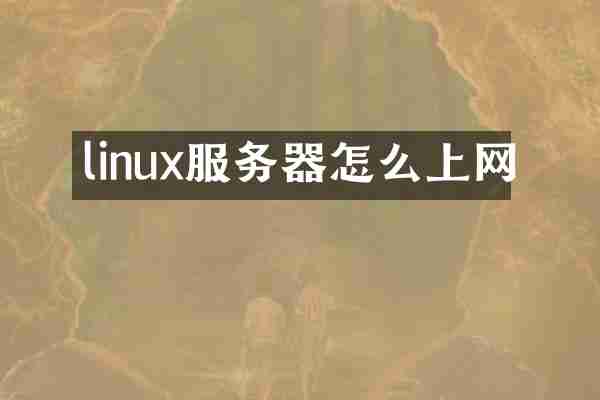 linux服务器怎么上网