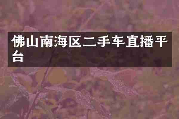 佛山南海区二手车直播平台