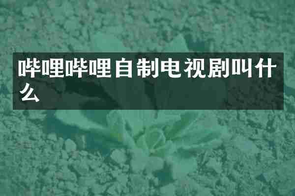 哔哩哔哩自制电视剧叫什么