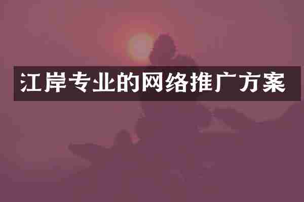 江岸专业的网络推广方案