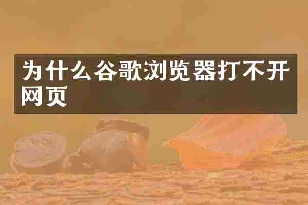 为什么谷歌浏览器打不开网页