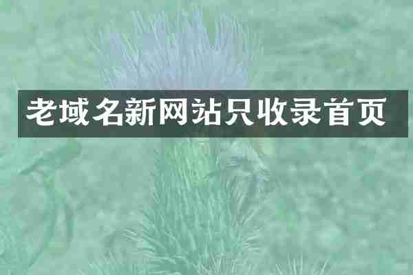老域名新网站只收录首页