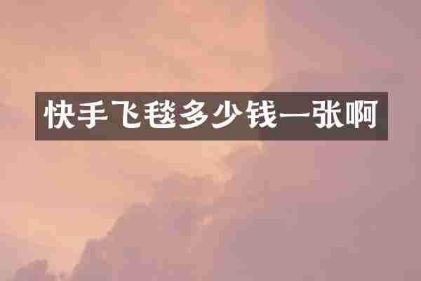 快手飞毯多少钱一张啊