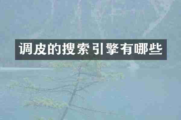 调皮的搜索引擎有哪些