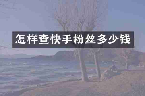 怎样查快手粉丝多少钱