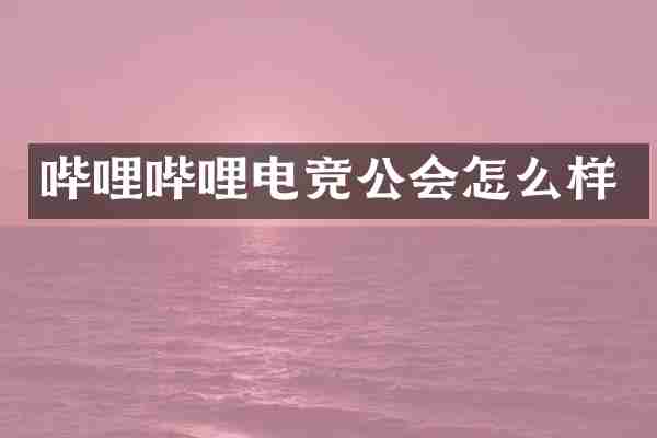 哔哩哔哩电竞公会怎么样