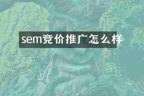 sem竞价推广怎么样