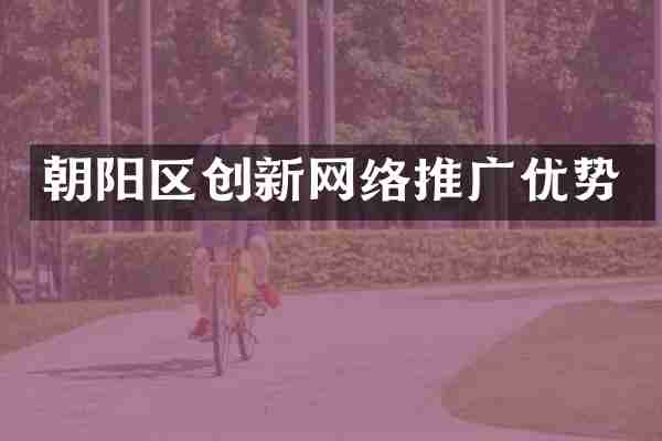 朝阳区创新网络推广优势