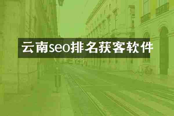 云南seo排名获客软件
