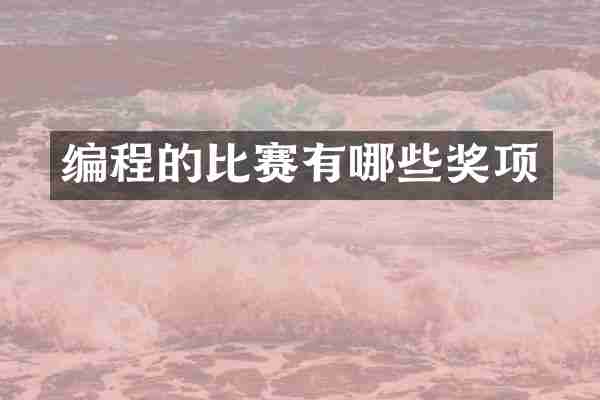 编程的比赛有哪些奖项