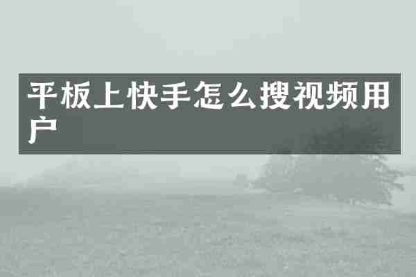 平板上快手怎么搜视频用户