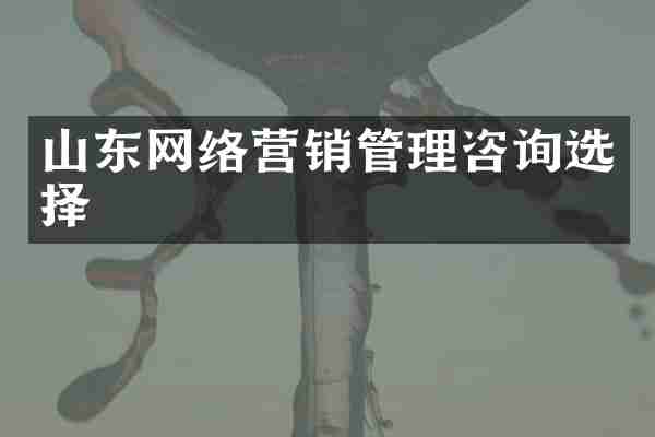 山东网络营销管理咨询选择