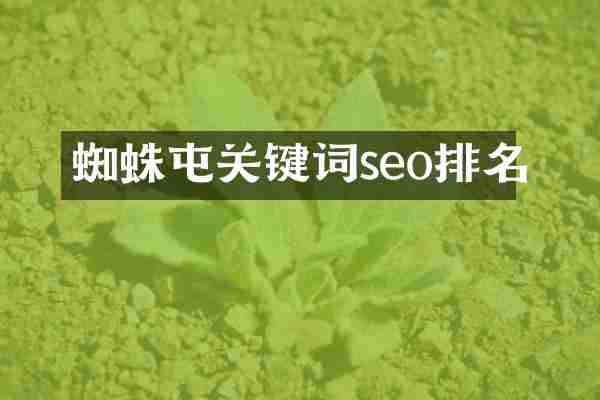 蜘蛛屯关键词seo排名