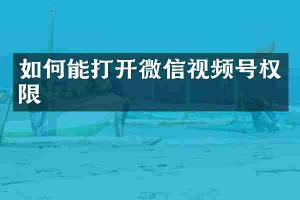 如何能打开微信视频号权限