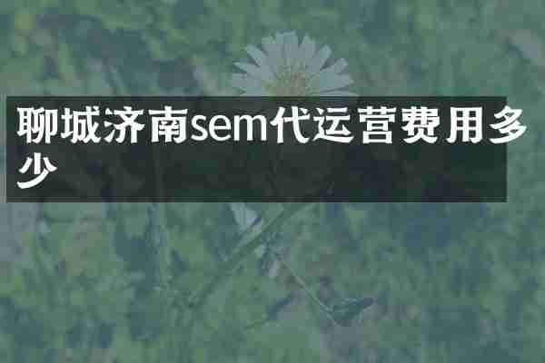 聊城济南sem代运营费用多少