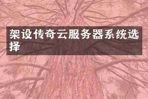 架设传奇云服务器系统选择