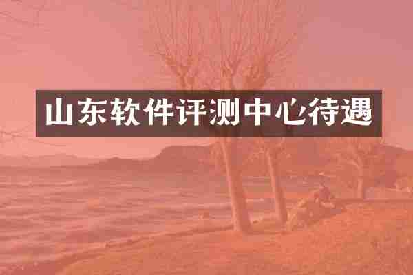 山东软件评测中心待遇