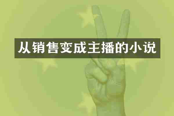 从销售变成主播的小说
