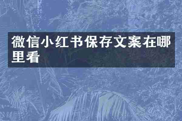 微信小红书保存文案在哪里看