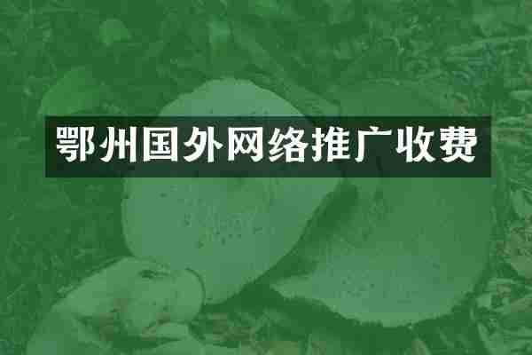 鄂州国外网络推广收费