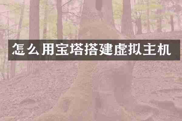 怎么用宝塔搭建虚拟主机